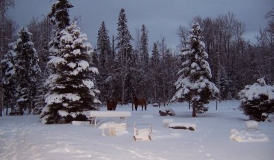 Steve Kelly's Montana House 2