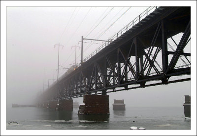 Foggy Train Bridge