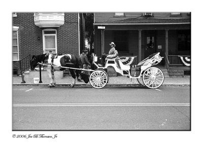 Horse & Cart