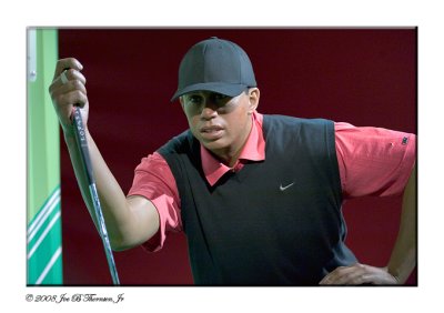 Tiger Woods