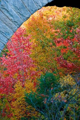 Acadia October 2008