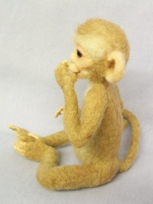 Baby Monkey side view