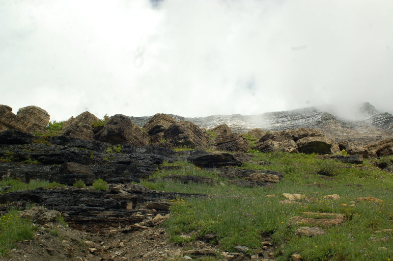 Glacier National Park - Highline Trail