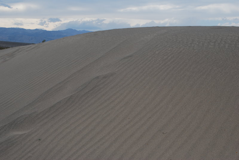 DSC_0915.jpg