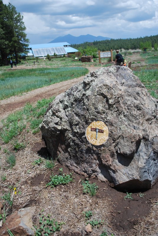 At The Flagstaff Arboretum