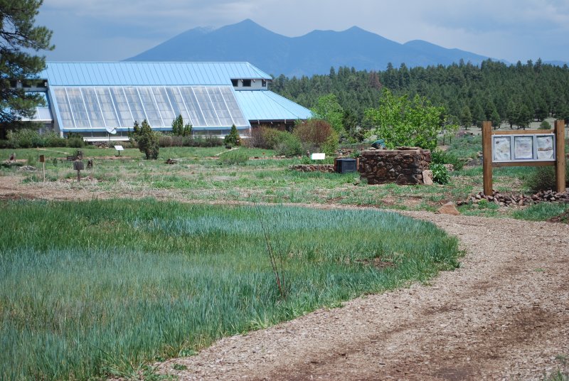 At The Flagstaff Arboretum