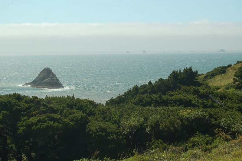 DSC_0252.JPG