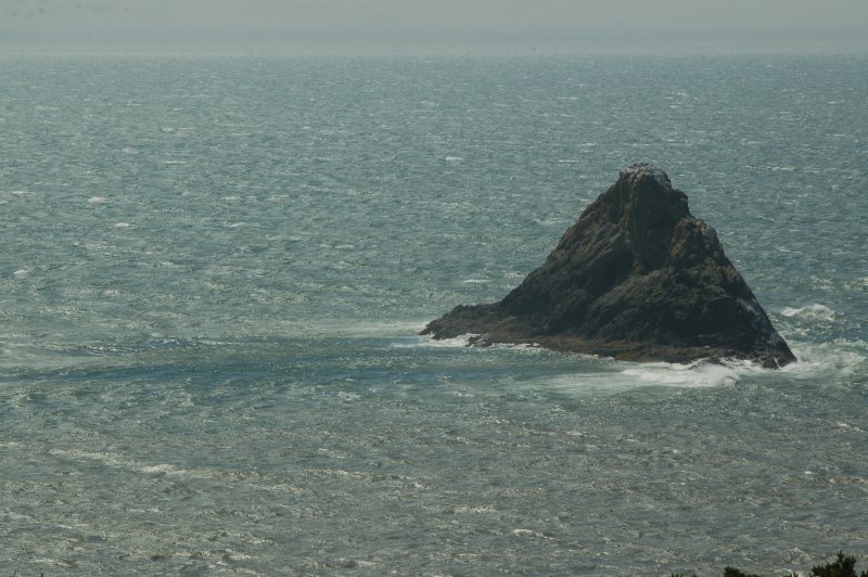 DSC_0259.JPG