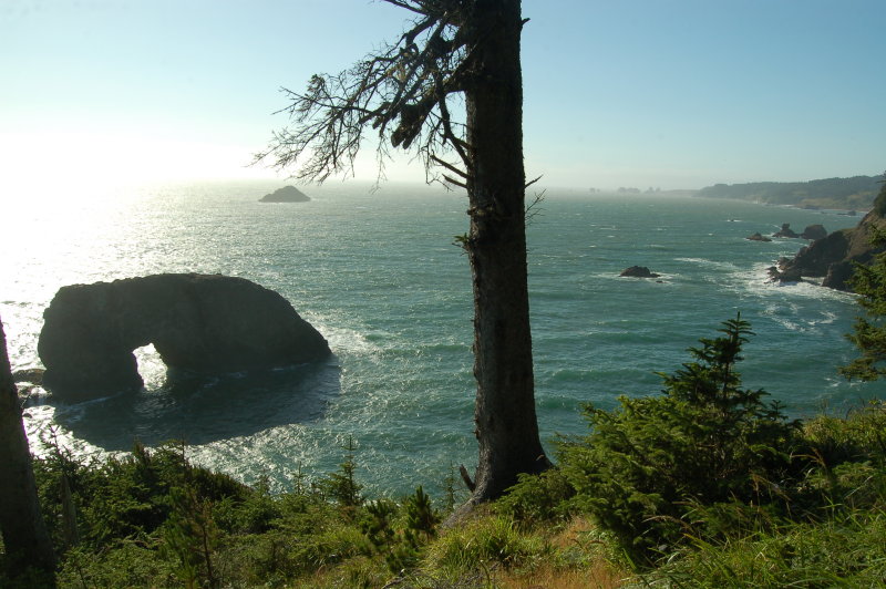 DSC_0290.JPG