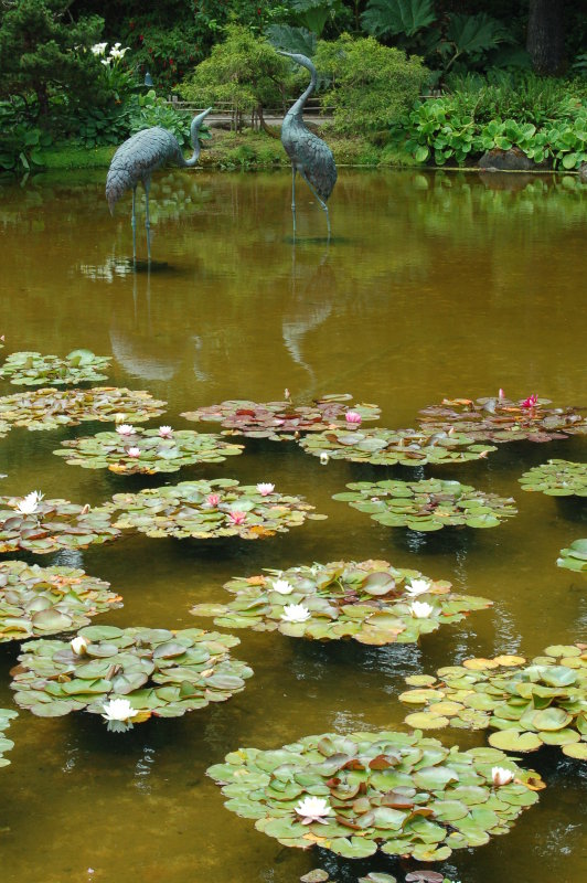 DSC_0044.JPG