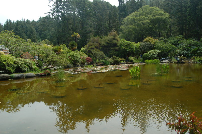 DSC_0052.JPG