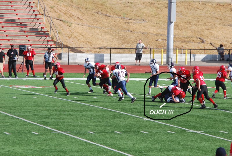 dsc_0695a.jpg