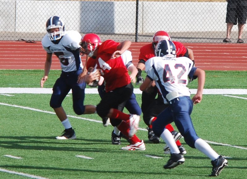 dsc_0695c.jpg