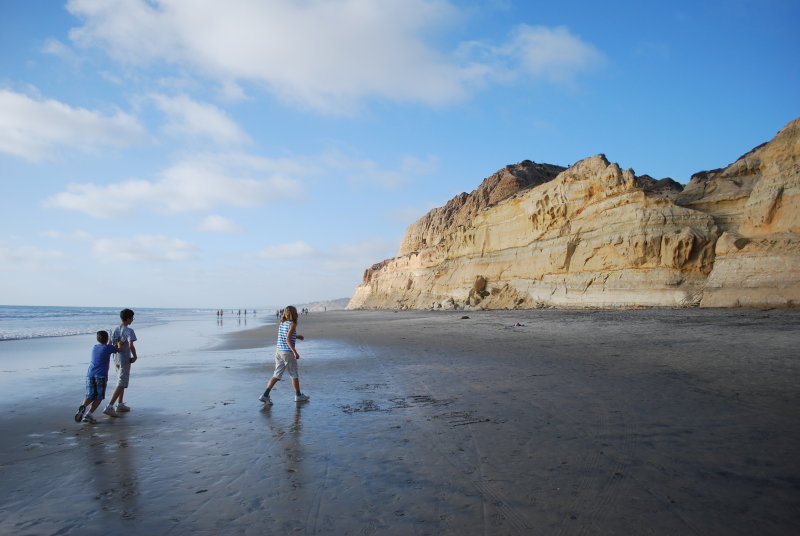 Playing On The Beach