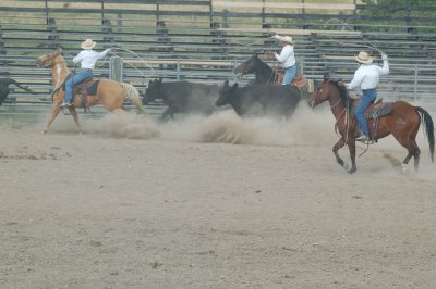DSC_0214.JPG