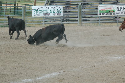 DSC_0217.JPG