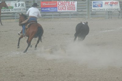 DSC_0262.JPG