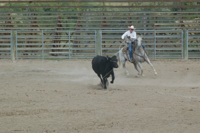 DSC_0270.JPG