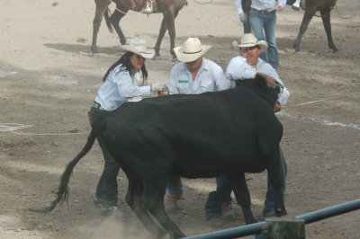 DSC_0338.JPG