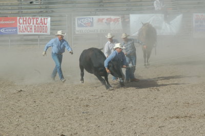 DSC_0505.JPG