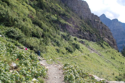 Highline Trail - Glacier National Park