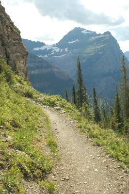 Highline Trail - Glacier National Park