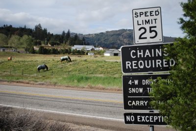 So Cold You Need Chains and Horses Need Jackets