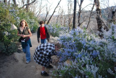 San Diego Co. Rule: Everyone Has to Smell the Lilacs