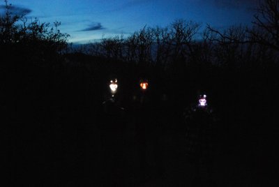 Down in the Dark