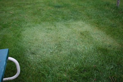 The Only Dry Spot Left