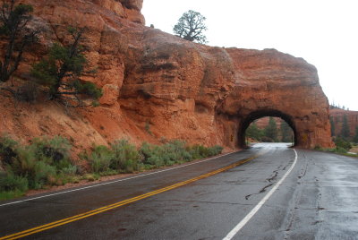 Red Canyon, Dixie NF, Utah