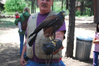 At The Flagstaff Arboretum