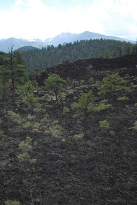 DSC_0897.jpg