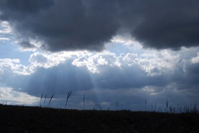 DSC_0955.jpg