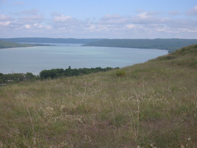 2080842_IMG.JPG