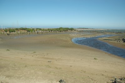 DSC_0019.JPG