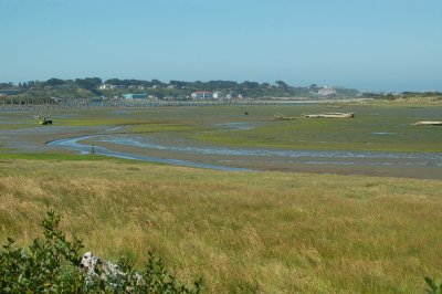 DSC_0024.JPG