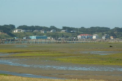 DSC_0031.JPG