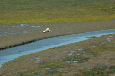 DSC_0037.JPG
