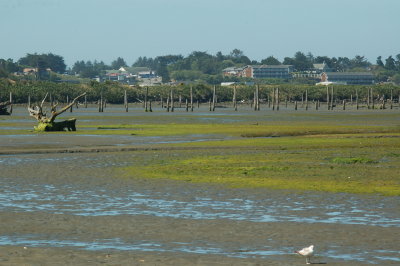DSC_0041.JPG