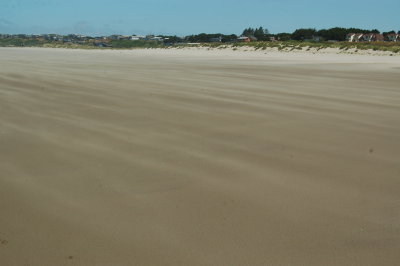 DSC_0114.JPG