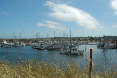 DSC_0002.JPG