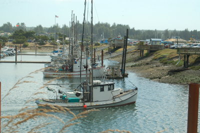 DSC_0003.JPG