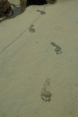 DSC_0094.JPG