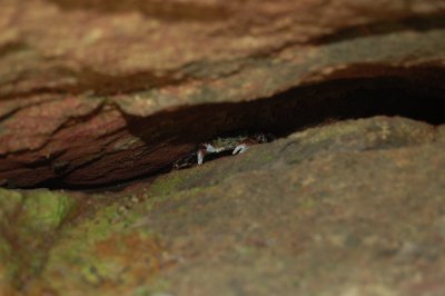 DSC_0100.JPG