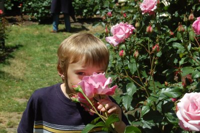 DSC_0119.JPG