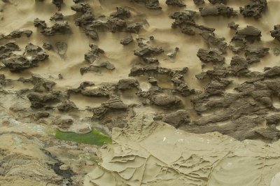 DSC_0150.JPG
