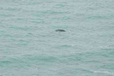 DSC_0173.JPG