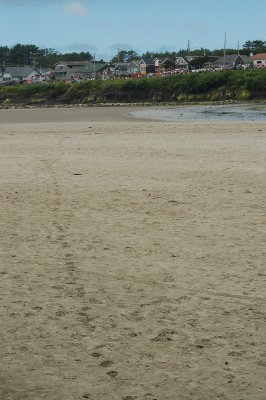 DSC_0031.JPG