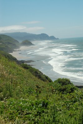 DSC_0050.JPG